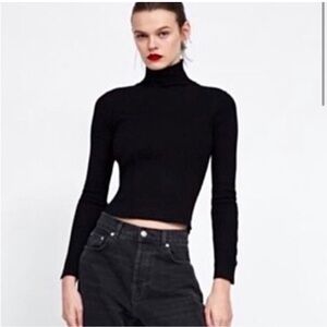 Zara Long Sleeve Turtleneck Top